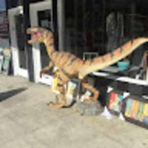 Meet your Posher, Dana